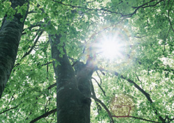 エネルギーと住まい