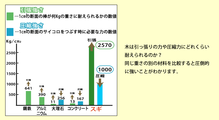 しなやかな住宅