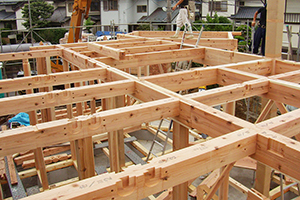 自由自在な住宅