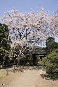 野田市風景写真